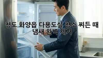 청도 화양읍 다용도실 청소: 찌든 때, 냄새 완벽 제거!