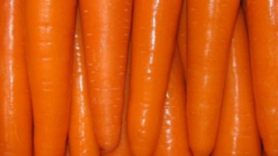 🥕 당근 3kg 득템! 꿀팁 대방출🎁